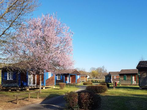 Camping La Rivière Donzenac - Camping Corrèze - Image N°0