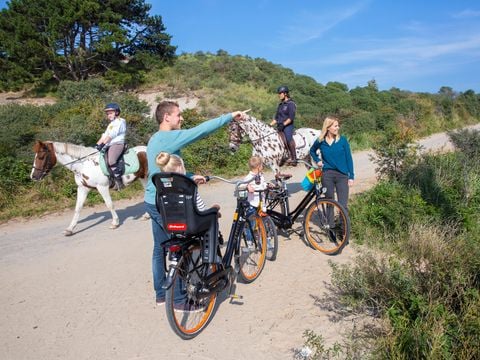 Roompot De Soeten Haert - Camping Renesse - Image N°3