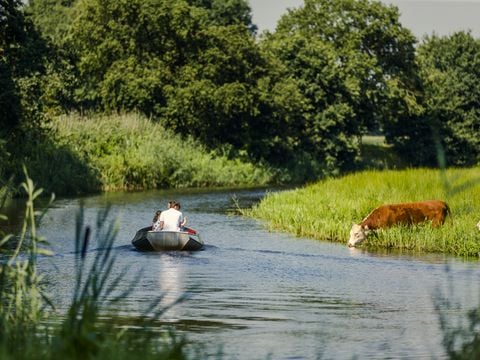 Vakantiepark Mölke - Camping Wierden - Image N°5