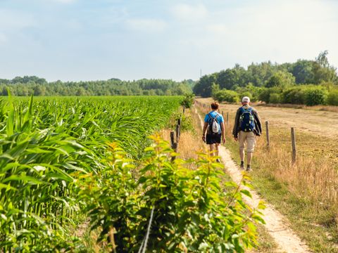 Vakantiepark Mölke - Camping Wierden - Image N°3