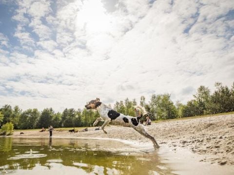 Landal Twenhaarsveld - Camping Rijssen-Holten