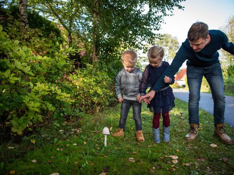 Landal Natuurdorp Suyderoogh - Camping Das Hochland - Image N°5