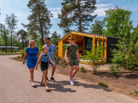 EuroParcs De Hooge Veluwe - Camping Arnheim - Image N°3