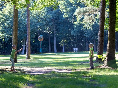 Oostappen park Arnhem - Camping Arnheim - Image N°5