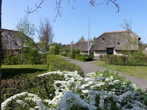 Vakantiepark De Lourenshoeve - Camping Twenterand - Image N°0