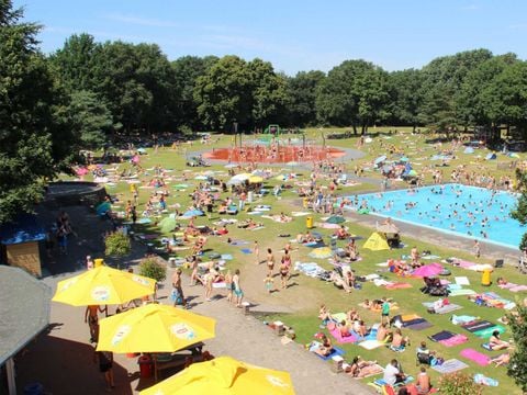 Molecaten Park Bosbad Hoeven - Camping Halderberge - Image N°0