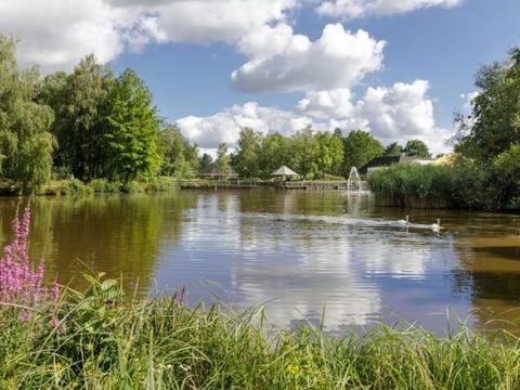 Center Parcs Limburgse Peel - Camping Horst an der Maas