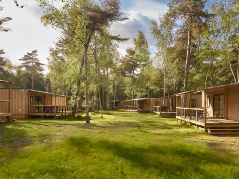 Lake Resort Beekse Bergen - Camping Hilvarenbeek - Image N°5