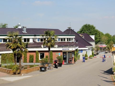 Vakantiepark De Oude Molen - Camping Berg en Dal - Image N°0