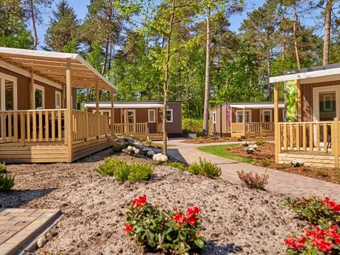 Vakantiepark Het Lierderholt - Camping Apeldoorn - Image N°0