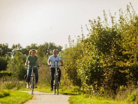 Landal Orveltermarke - Camping Mitte-Drenthe - Image N°2