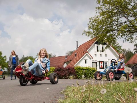 Landal Landgoed Aerwinkel - Camping Roerdalen - Image N°2