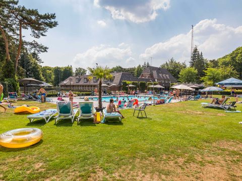 TopParken Landgoed de Scheleberg - Camping Ede - Image N°2