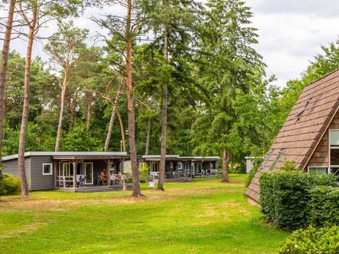 Molecaten Park De Koerberg - Camping Heerde - Image N°2