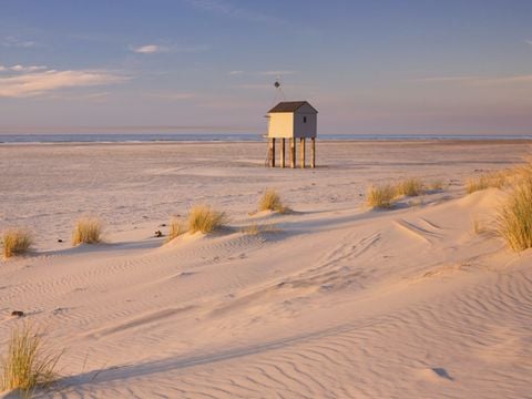 Landal Schuttersbos - Camping Terschelling - Image N°4