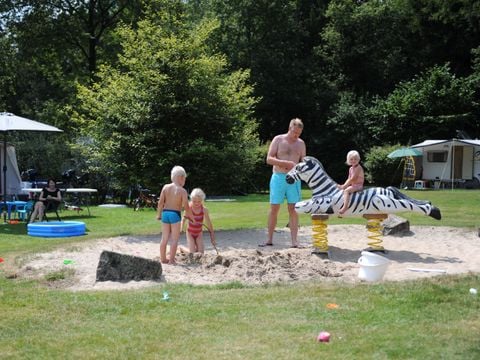 Veluwecamping 't Schinkel - Camping Apeldoorn - Image N°4