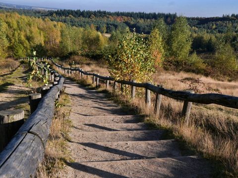 De Thijmse Berg - Camping Rhenen - Image N°2