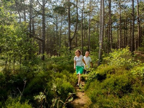 Landal West Terschelling - Camping Terschelling - Image N°3