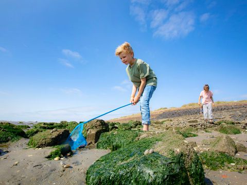 Landal West Terschelling - Camping Terschelling - Image N°2