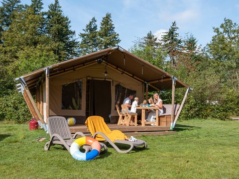 RCN Vakantiepark De Roggeberg - Camping Ooststellingwerf - Image N°0