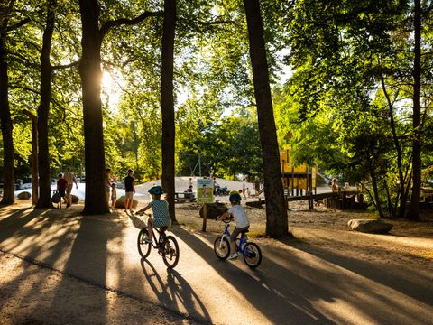 RCN Vakantiepark het Grote Bos - Camping Utrechtse Heuvelrug - Image N°0