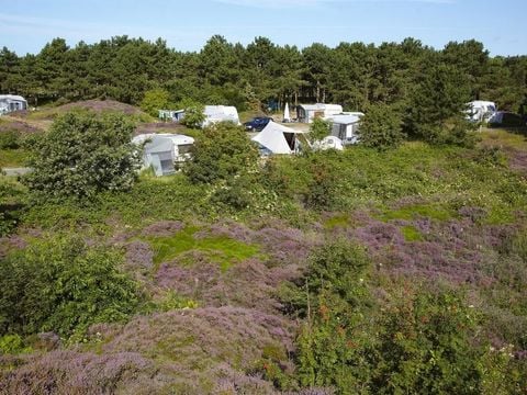 Texelcamping Loodsmansduin - Camping Texel - Image N°5