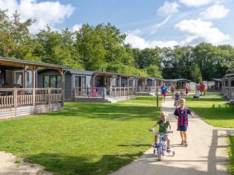 Molecaten Park 't Hout - Camping Opsterland