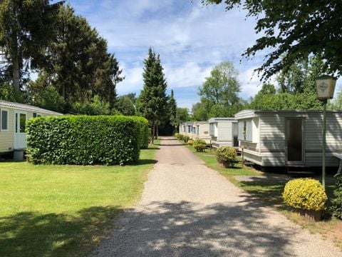 Ferienpark Eifellux - Camping Rheinland-Pfalz