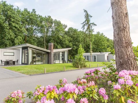 Landal Amerongse Berg - Camping Utrechtse Heuvelrug - Image N°0