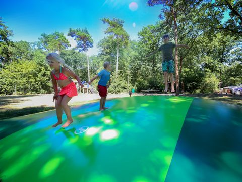 Vakantiepark Bonte Vlucht - Camping Utrechtse Heuvelrug