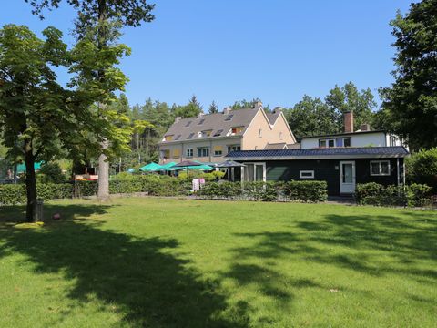 Vakantiepark Bonte Vlucht - Camping Utrechtse Heuvelrug - Image N°5