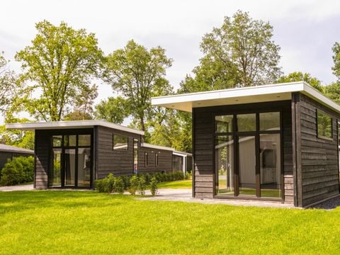 Bospark Markelo - Camping Hof von Twente - Image N°5