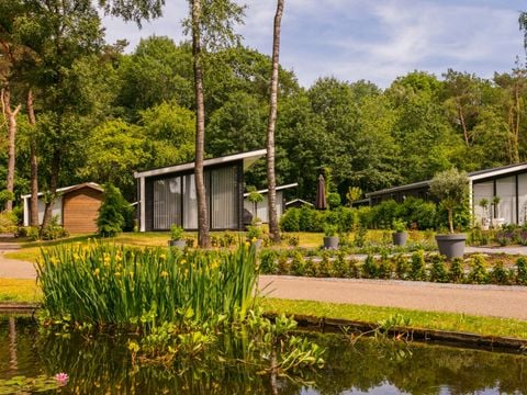 Bospark Markelo - Camping Hof von Twente - Image N°4