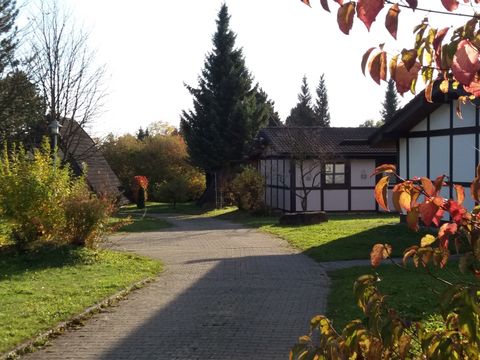 Feriendorf Waldbrunn - Camping Baden-Württemberg - Image N°4