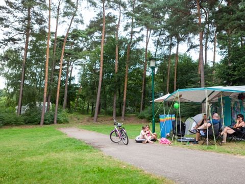 Oostappen park Boschbeek - Camping Roerdalen - Image N°4