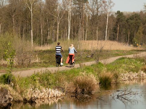 EuroParcs Hoge Kempen - Camping Belgisches Limburg - Image N°4