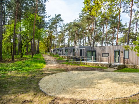 EuroParcs Hoge Kempen - Camping Belgisches Limburg - Image N°2