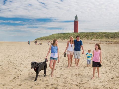 Landal Beach Park Texel - Camping Texel - Image N°4