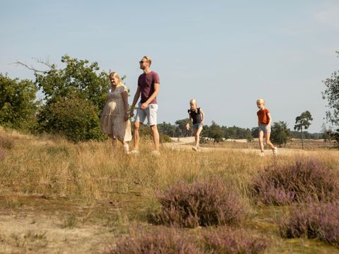 Landal Kaatsheuvel - Camping Loon op Zand - Image N°4