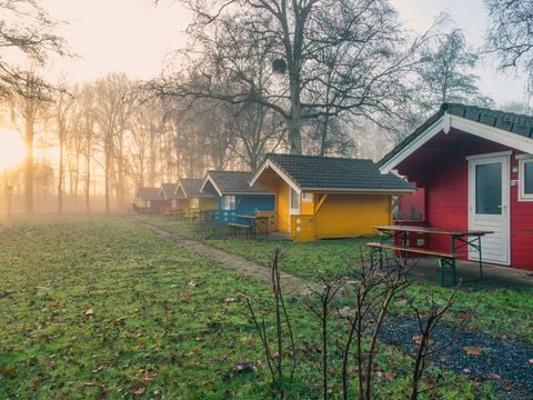 EuroParcs Het Amsterdamse Bos - Camping Amsterdam - Image N°3