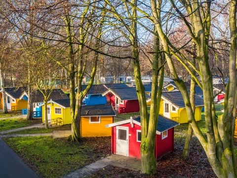 EuroParcs Het Amsterdamse Bos - Camping Amsterdam - Image N°0