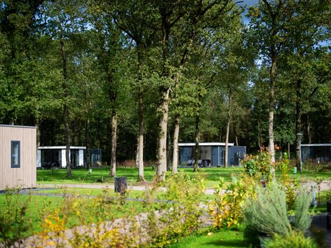 Park Drentheland - Camping Westerveld - Image N°0