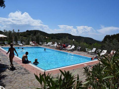 Villaggio Blucamp - Camping Livorno - Image N°2