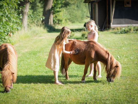 Landrijk de Reesprong - Camping Haaksbergen - Image N°0