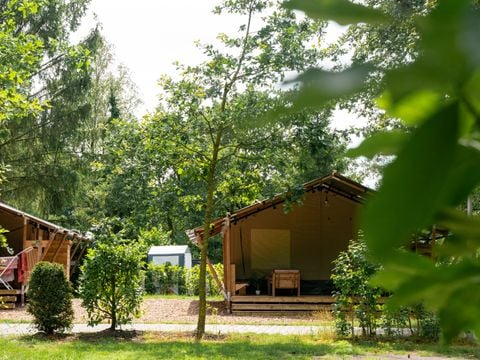 Vodatent Camping de Zeven Heuveltjes - Camping Borger-Odoorn - Image N°0