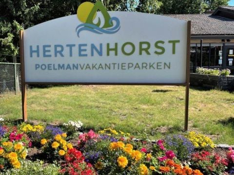 Vakantiepark Hertenhorst - Camping Apeldoorn - Image N°4