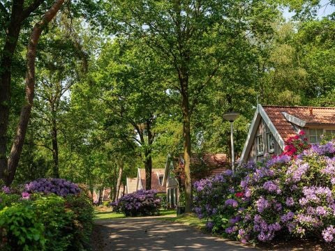 Buitengoed Het Lageveld - Camping Wierden