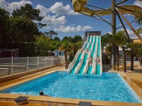 Camping Marvilla Parks - La Pinède - Camping Charente-Maritime - Image N°3