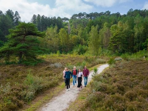 Landal Residence Berger Duinen - Camping Bergen - Image N°3