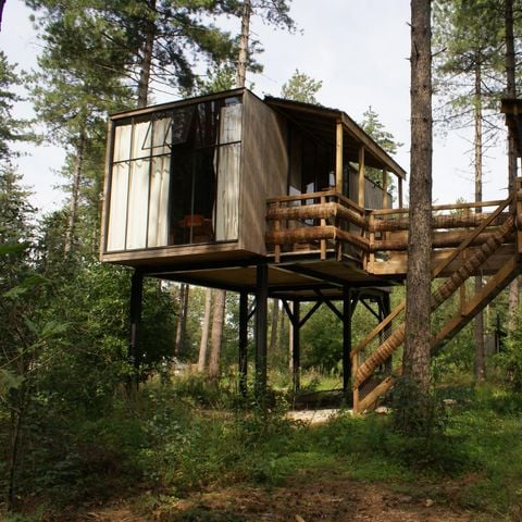 AUßERGEWÖHNLICHE UNTERKUNFT 4 Personen - Baumhaus Treetop mit Whirlpool